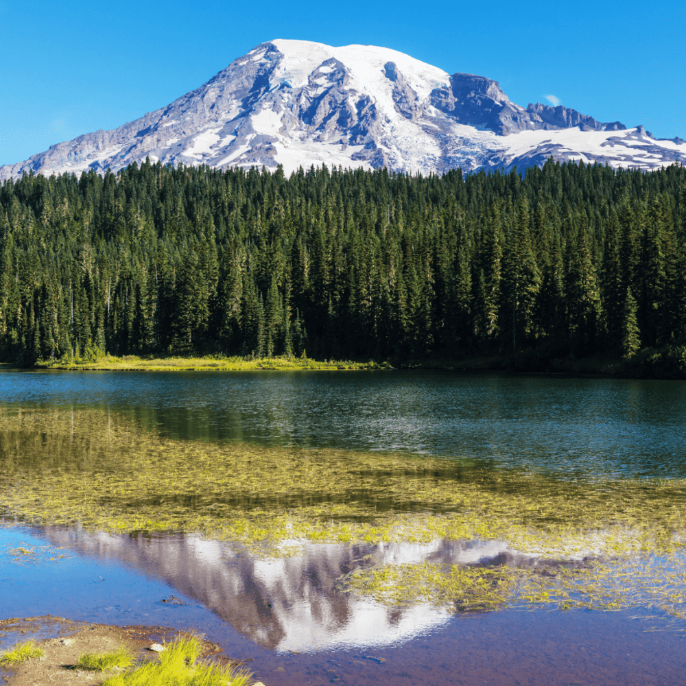 Hike in Mount Rainier National Park