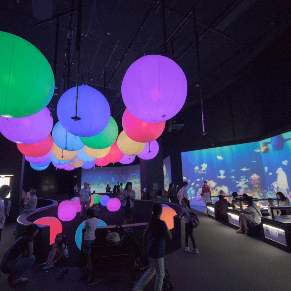 Ignite Curiosity at Discovery Place Science