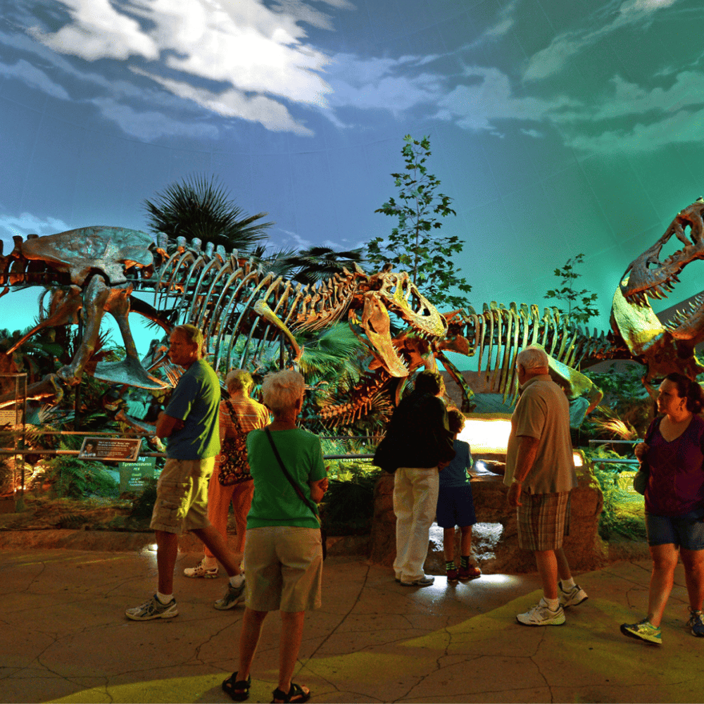 Learn inside The Children's Museum of Indianapolis