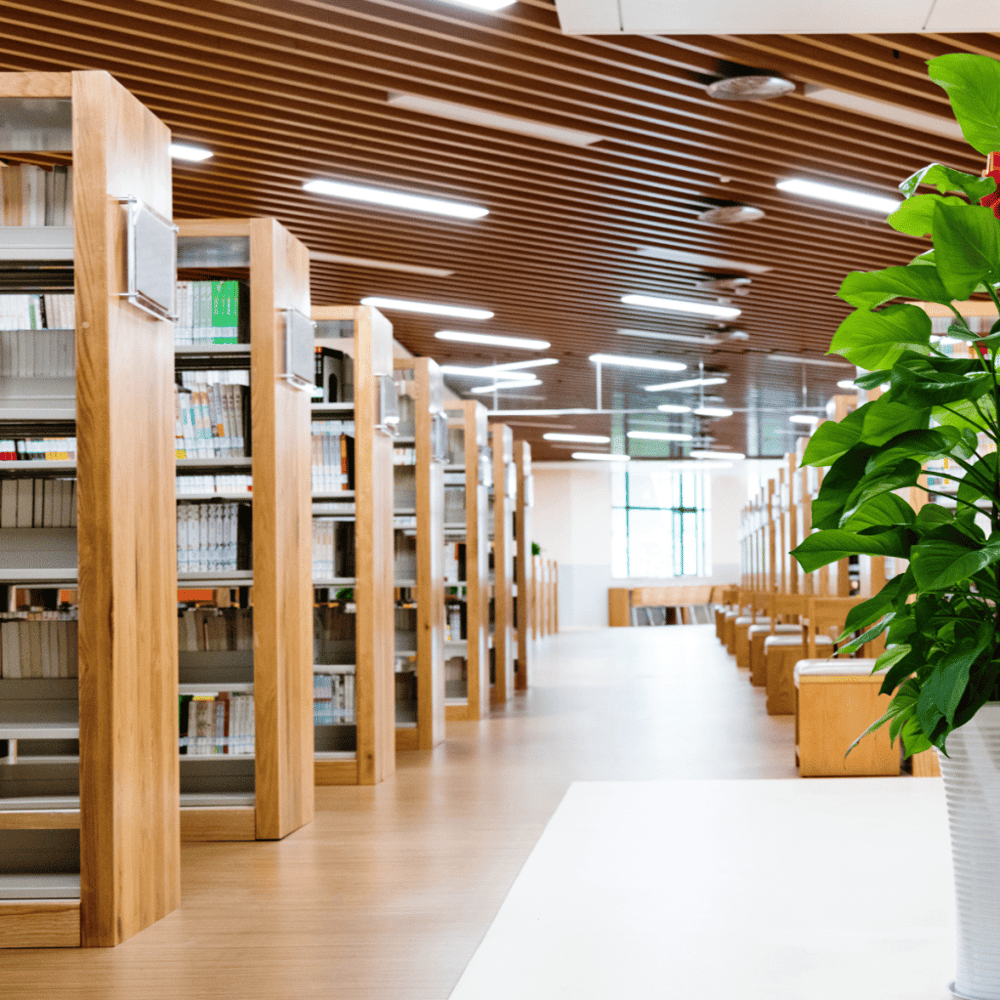 Marvel inside Austin Public Library