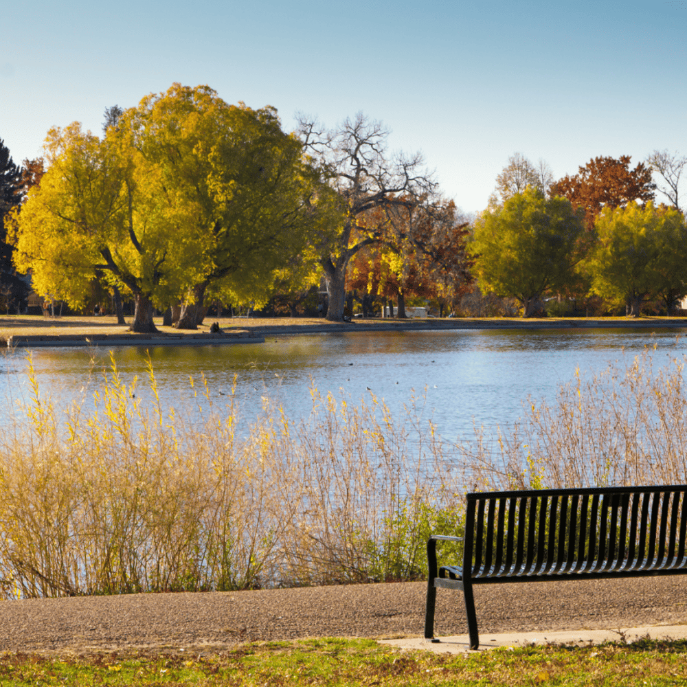 Meander through Washington Park
