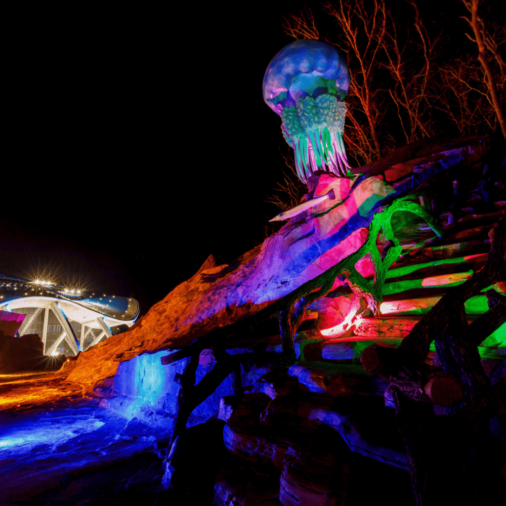 Play with imagination at Meow Wolf Denver