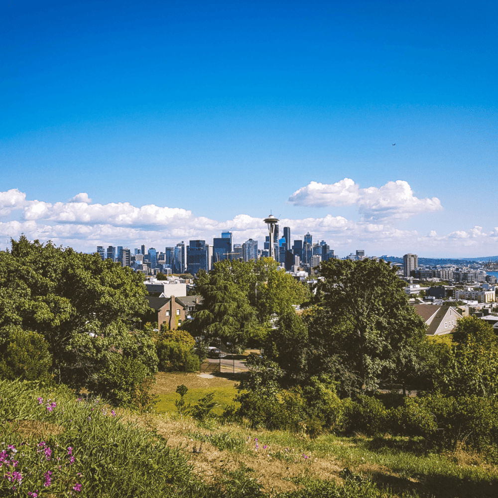 Relax at Kerry Park