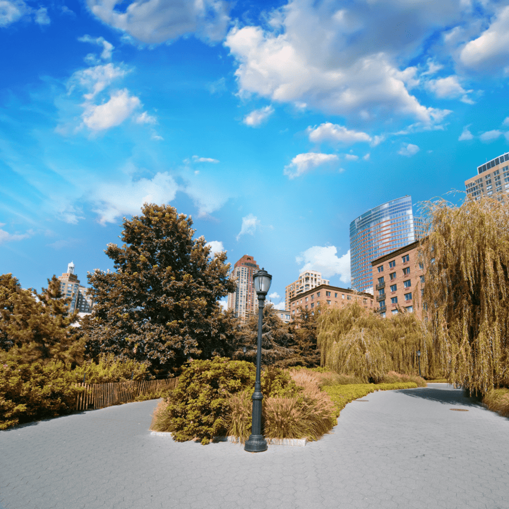 Relax at the Battery Park