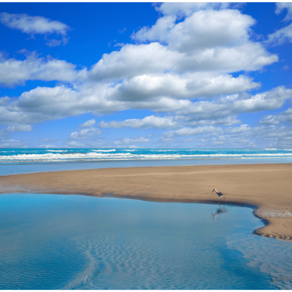 Relax in the Atlantic Beach