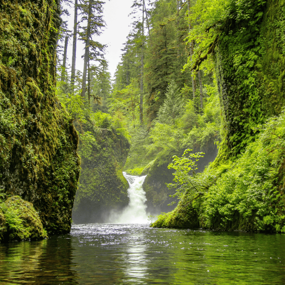 Relax in the Eagle Creek Park