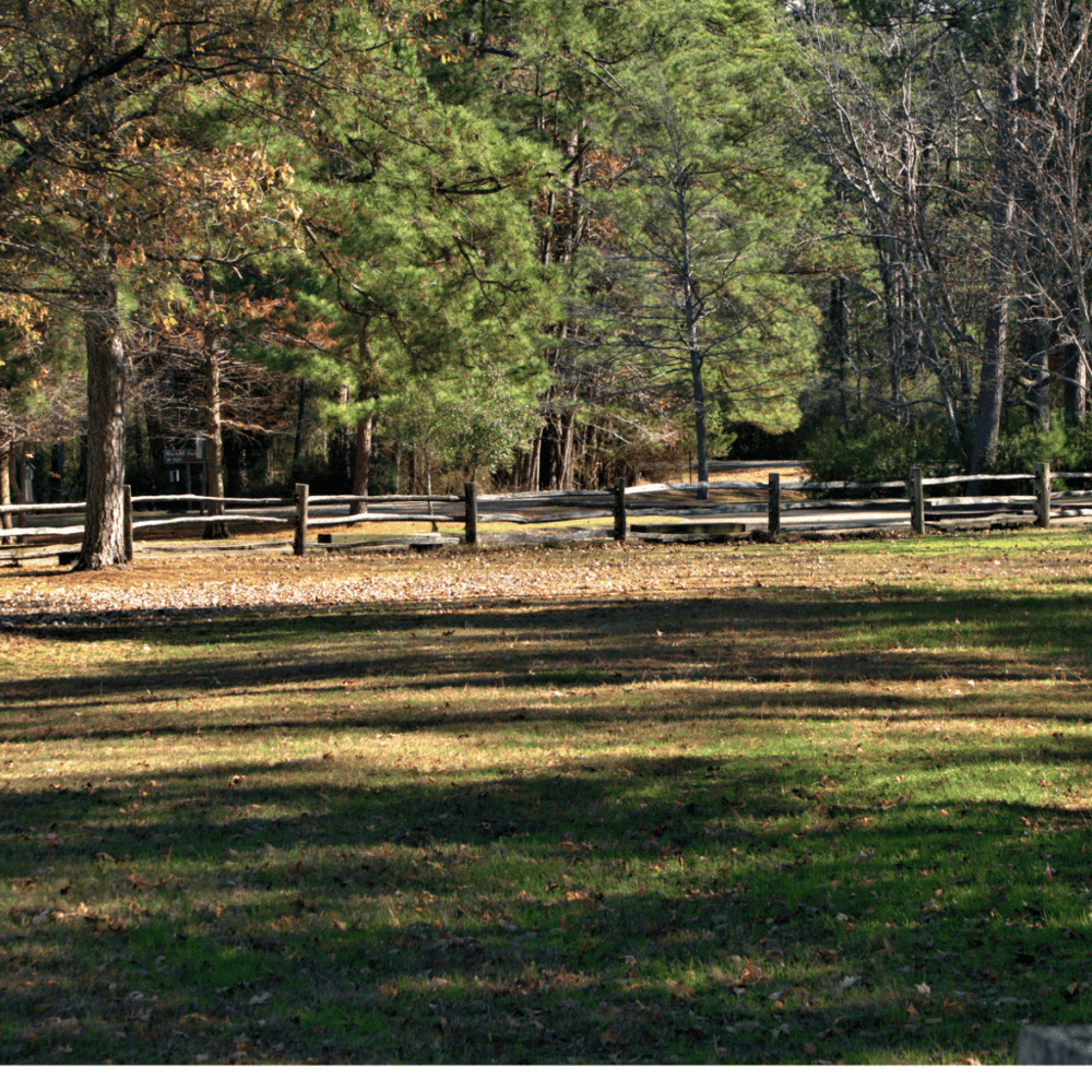 Roam in the Camp Milton Historic Preserve