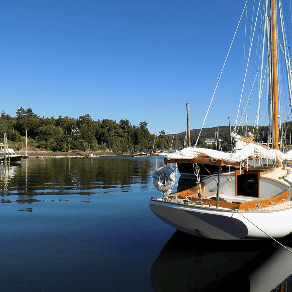 Sail with Now & Zen Sailing Charters