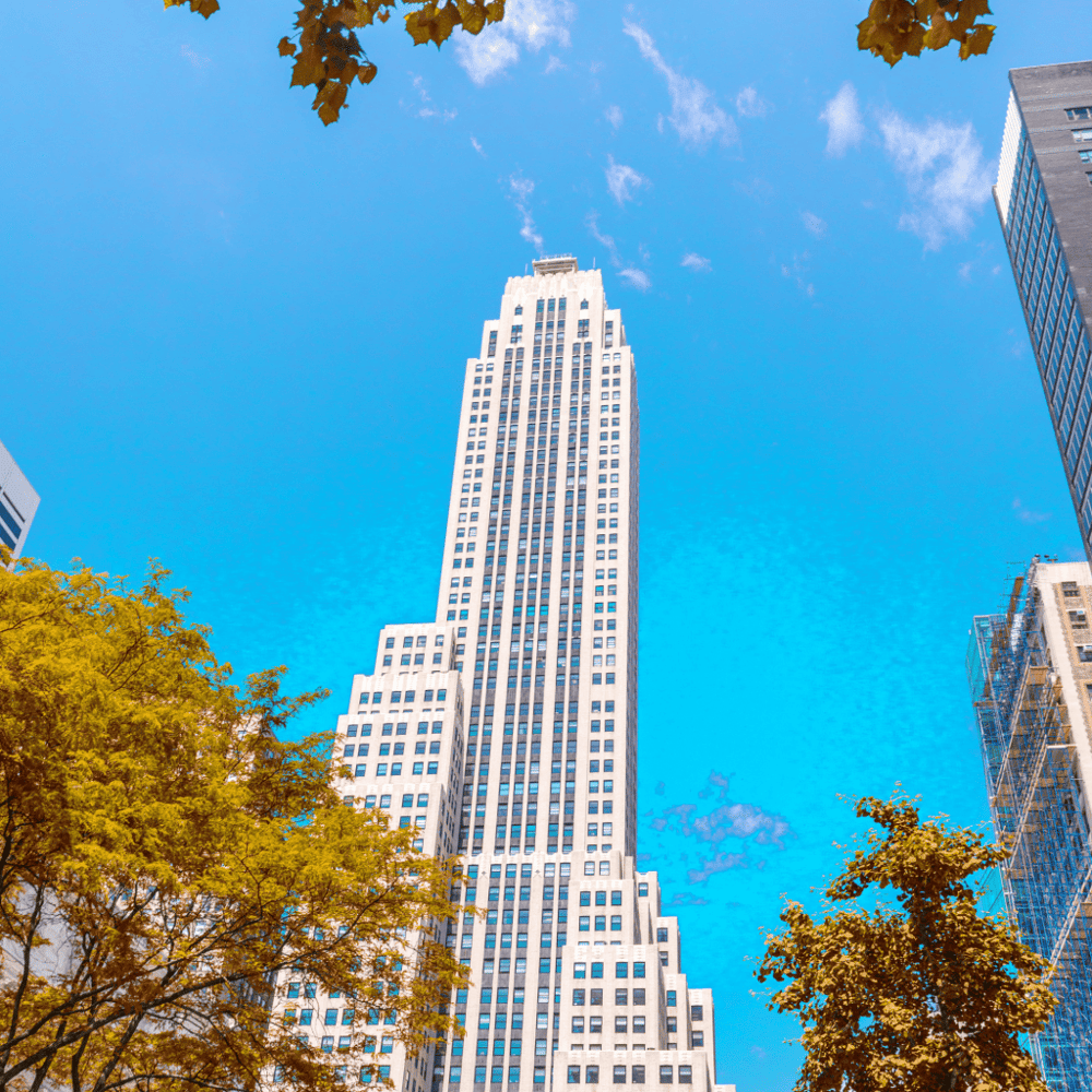 Shop Non-Stop at Fifth Avenue