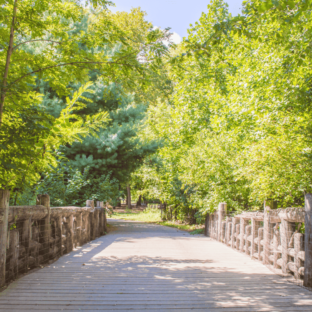 Soak up nature at the Fort Worth Nature Center and Refuge