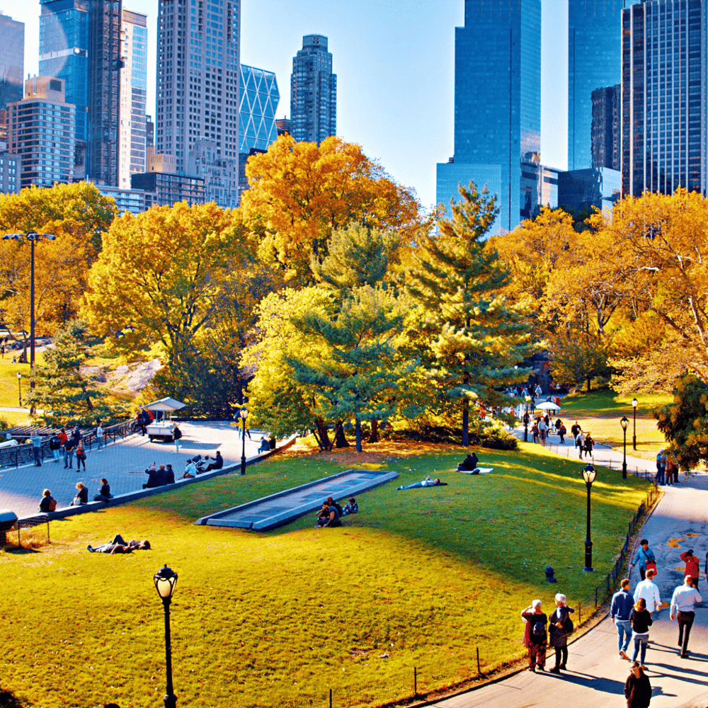 Step Into Central Park