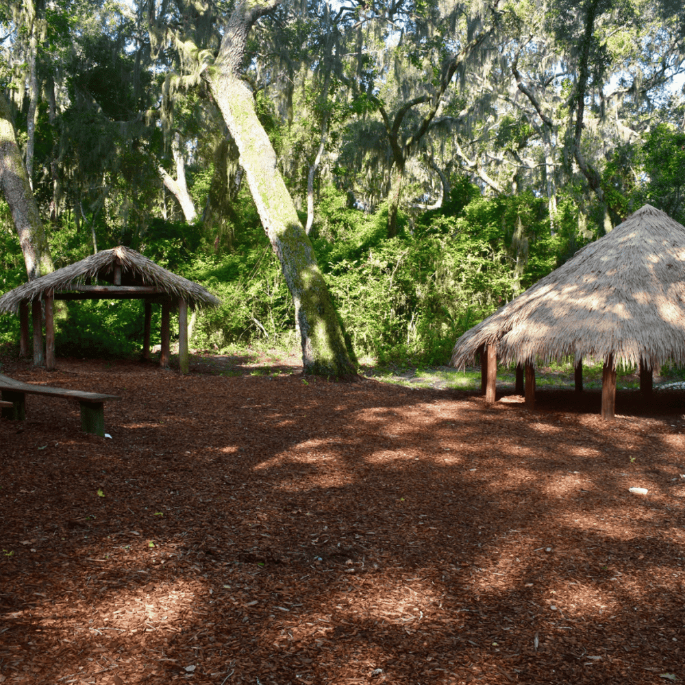 Stroll in the Timucuan Ecological & Historical Preserve