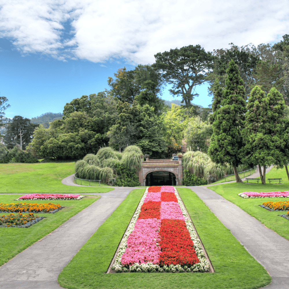 Stroll Through Golden Gate Park