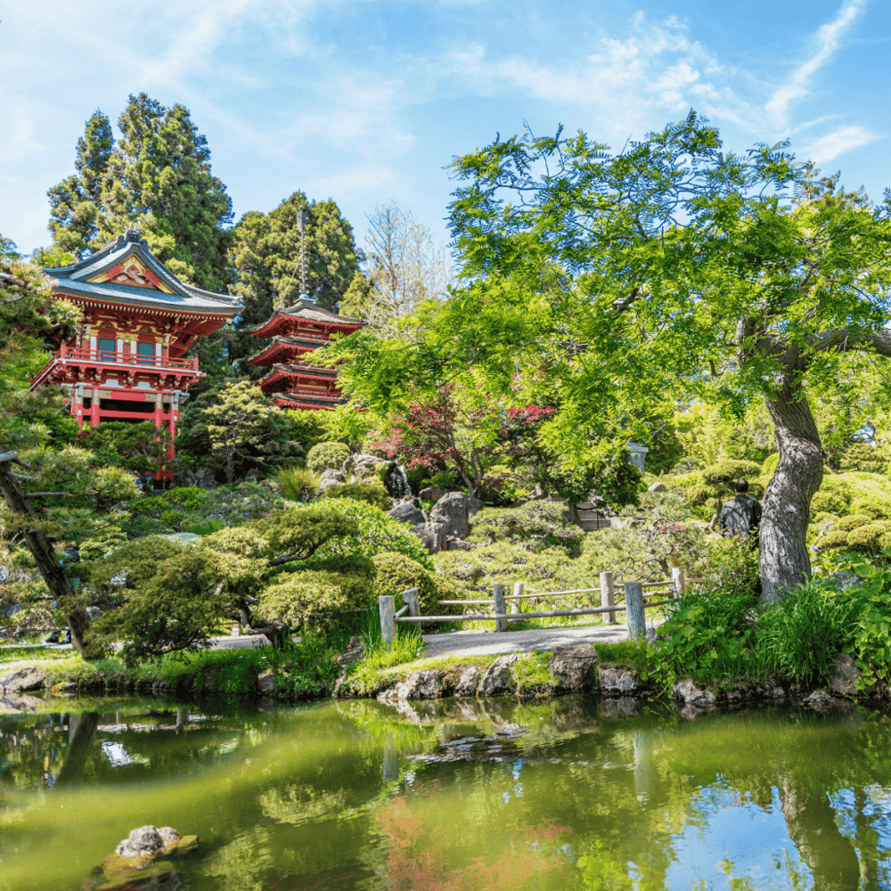 Stroll Through the Japanese Tea Garden