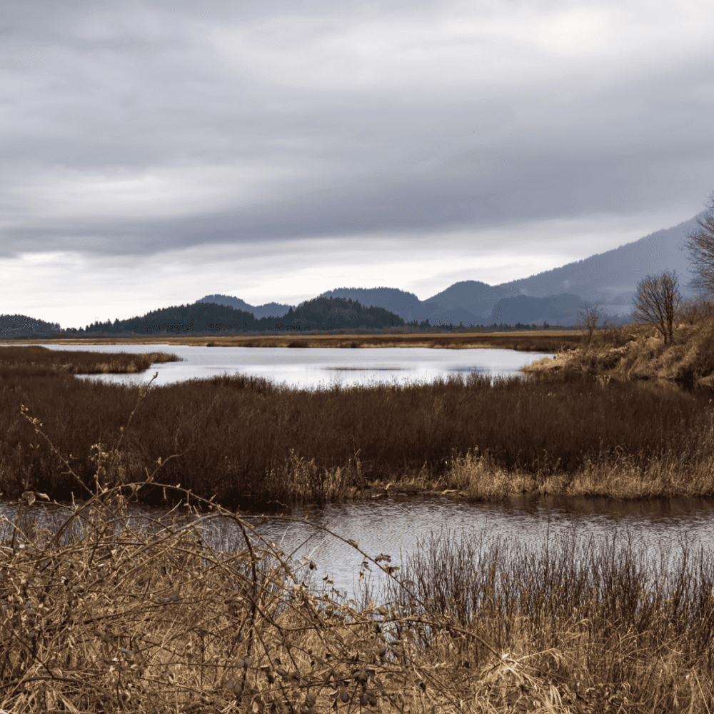 Stroll through the McDowell Nature Center and Preserve