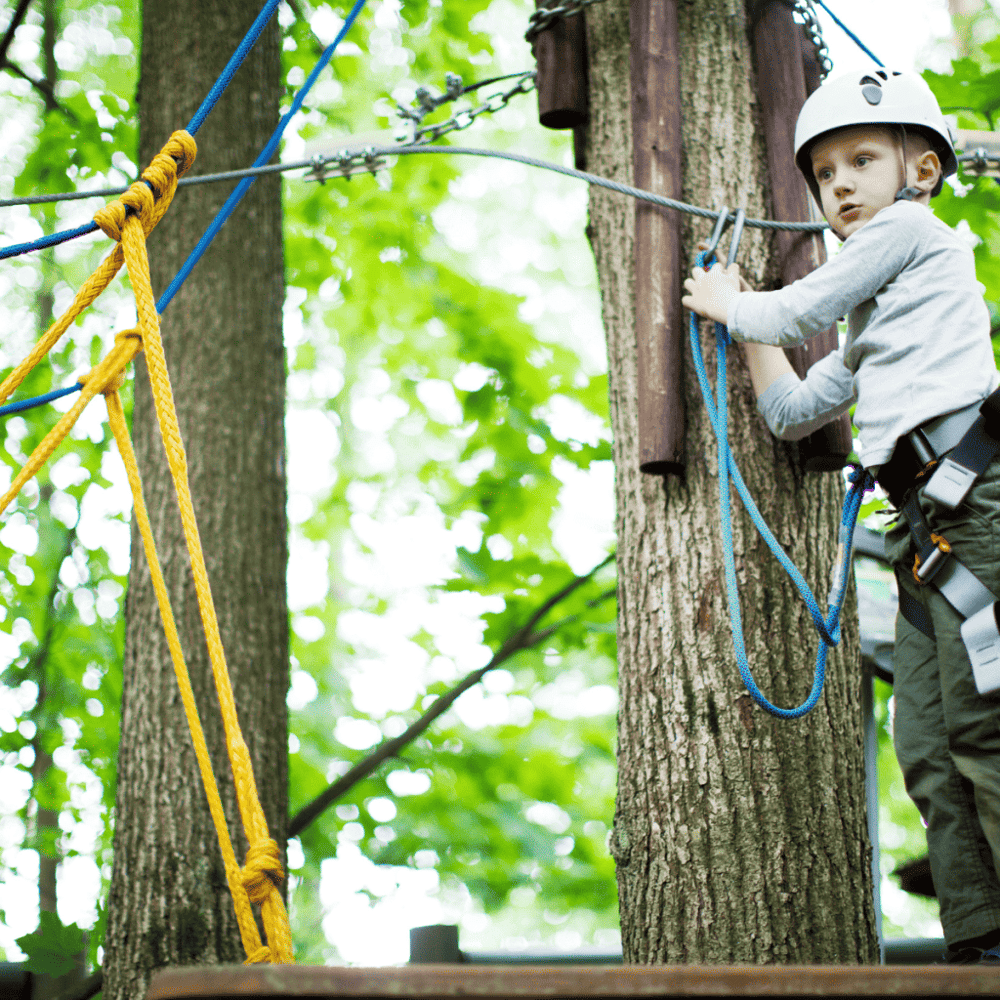Thrill Seek at ZipZone Canopy Tours