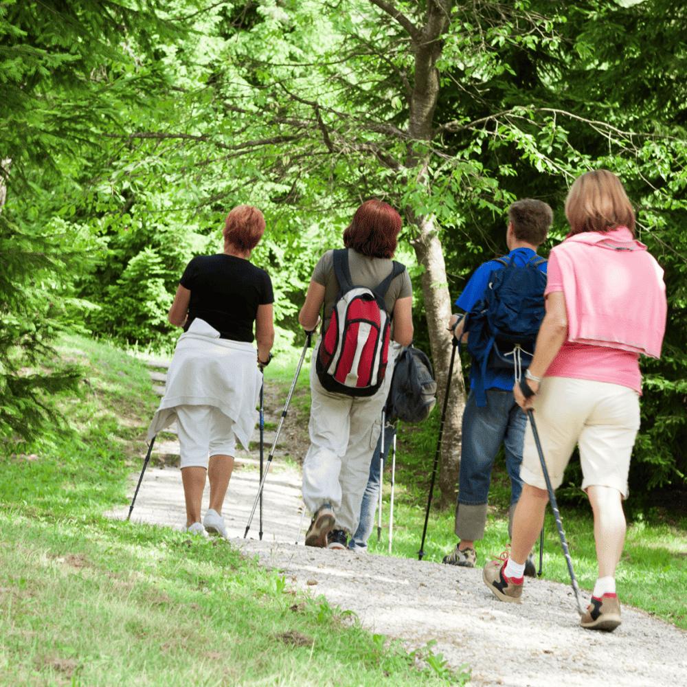 Try the Eco Motion Tours