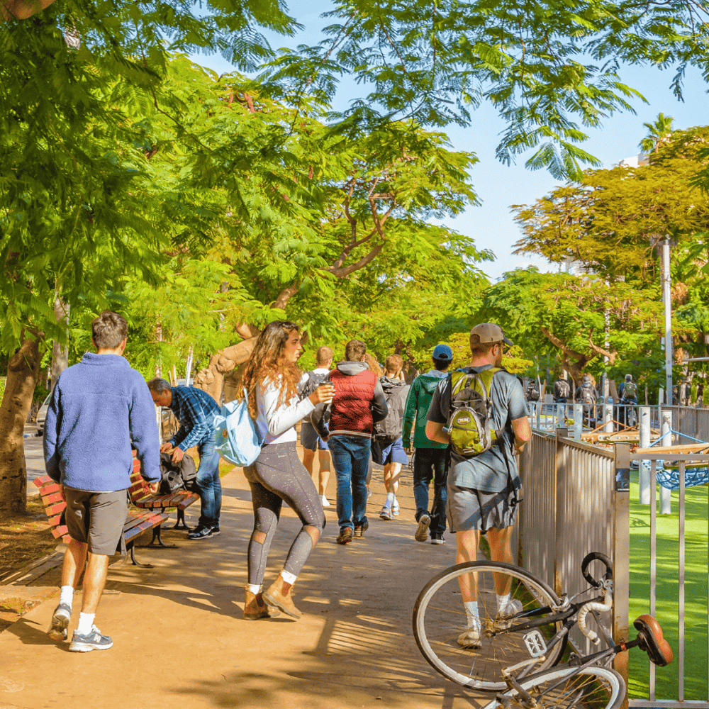 Unwind at Mayfield Park