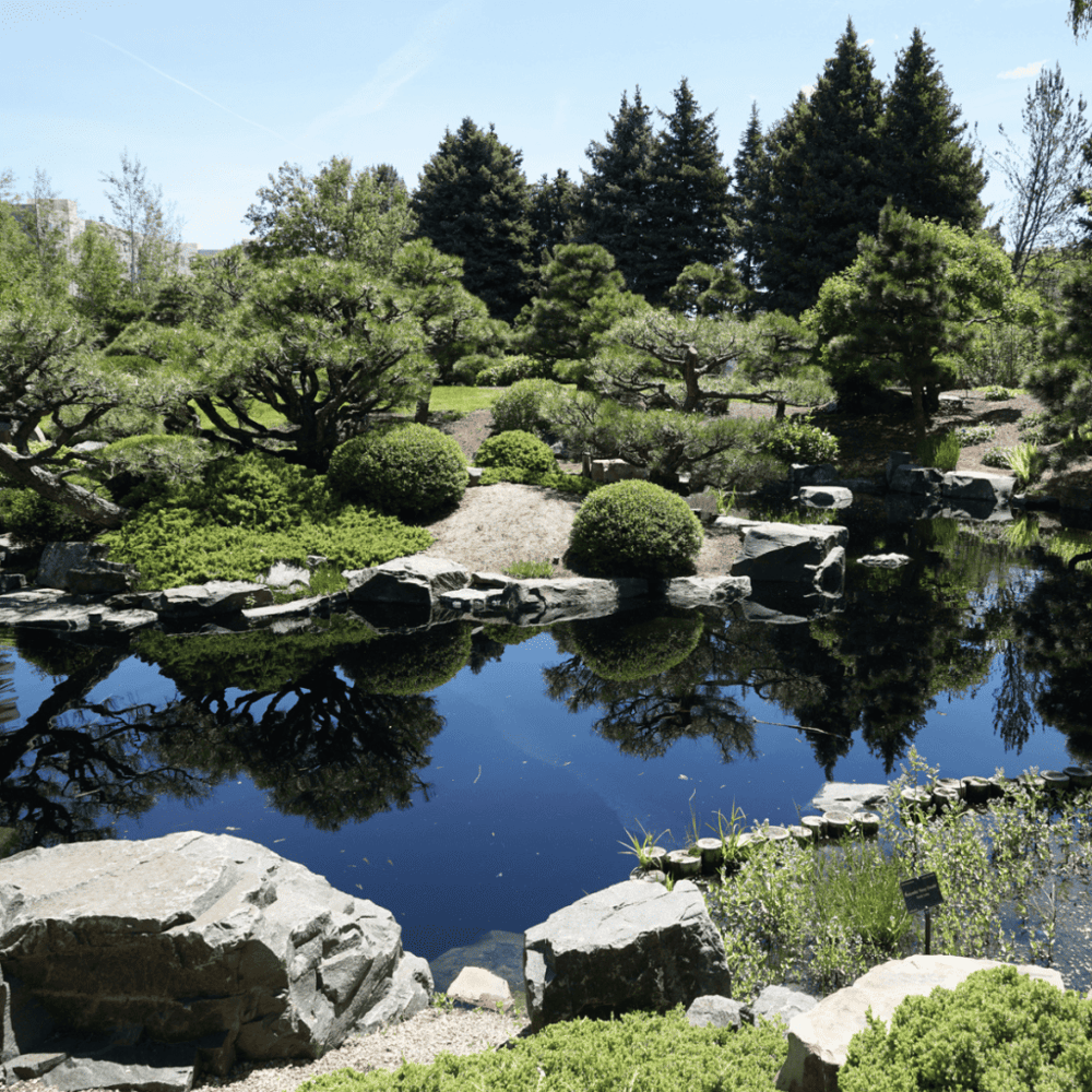 Unwind in Denver Botanic Gardens
