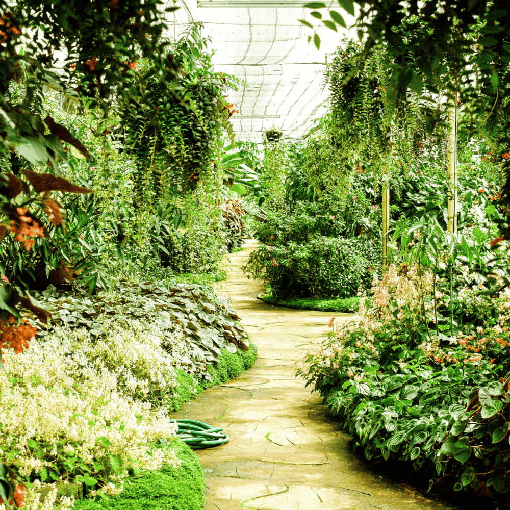 Unwind in the Jacksonville Arboretum & Gardens