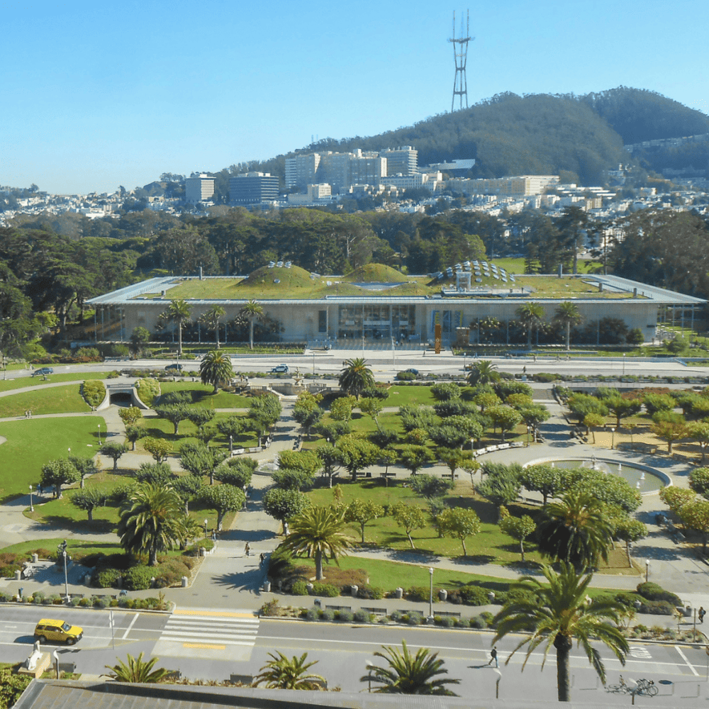 Visit the California Academy of Sciences