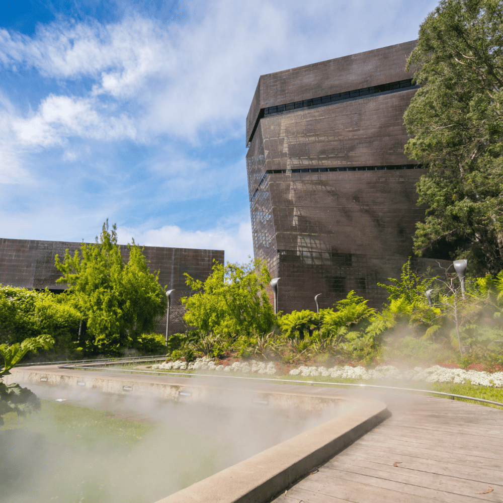 Visit the De Young Museum