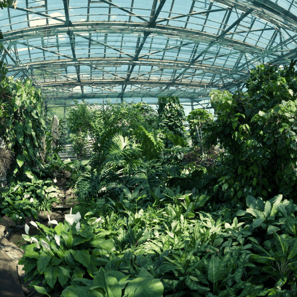 Visit the Franklin Park Conservatory and Botanical Gardens