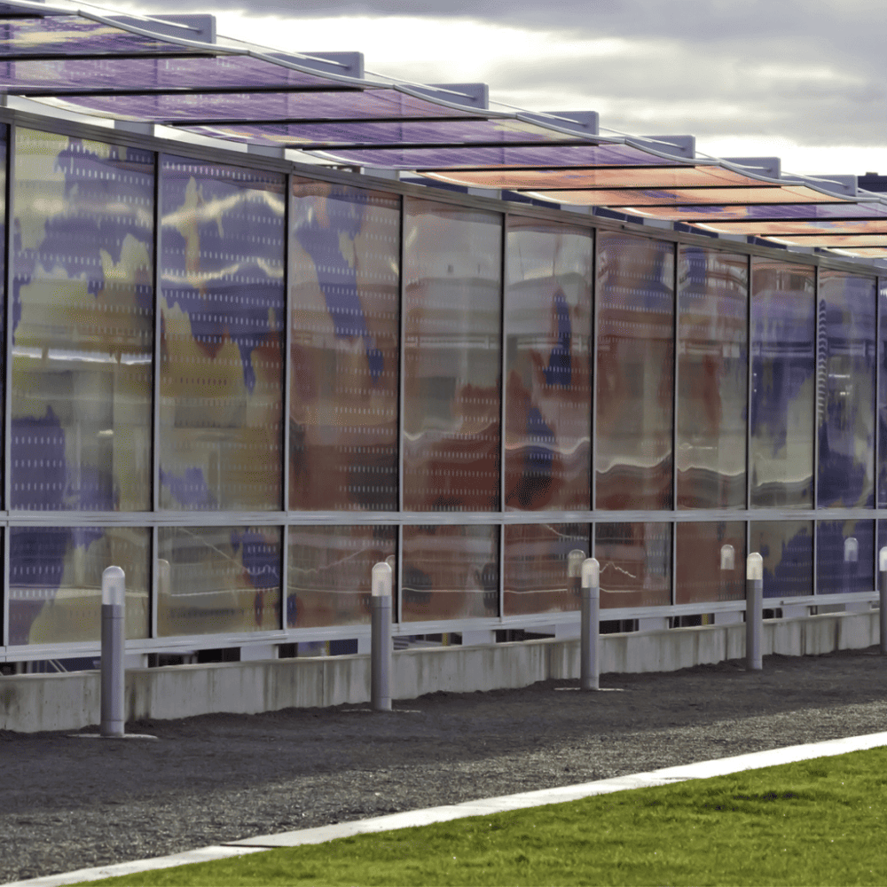 Visit the Olympic Sculpture Park