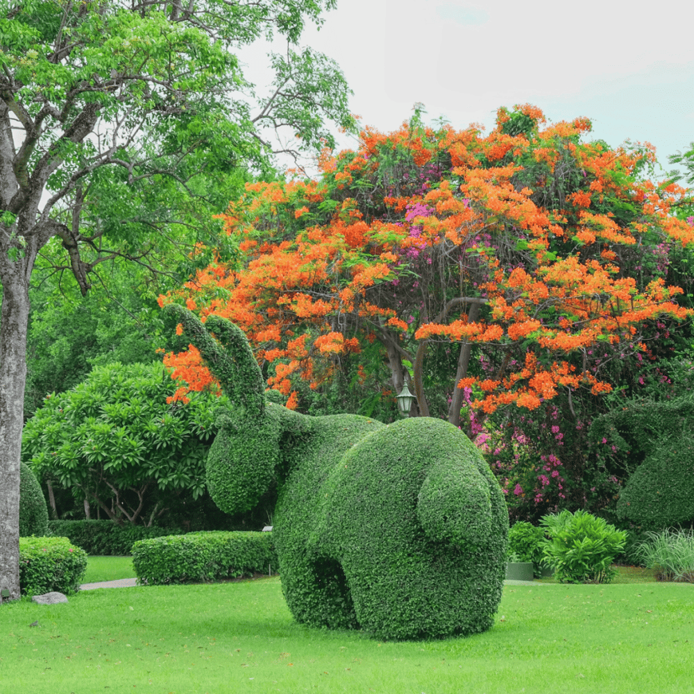 Walk along the Topiary Park