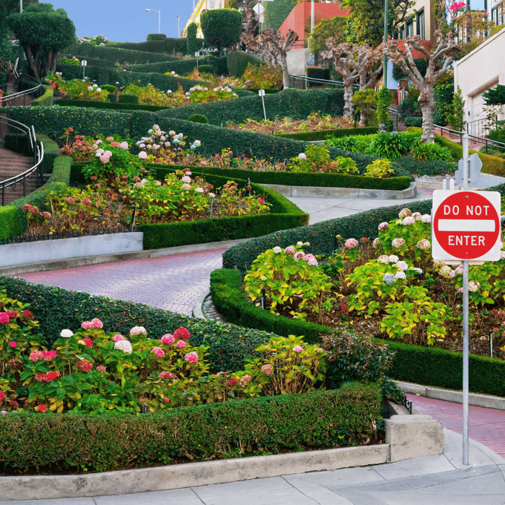 Walk Down Lombard Street