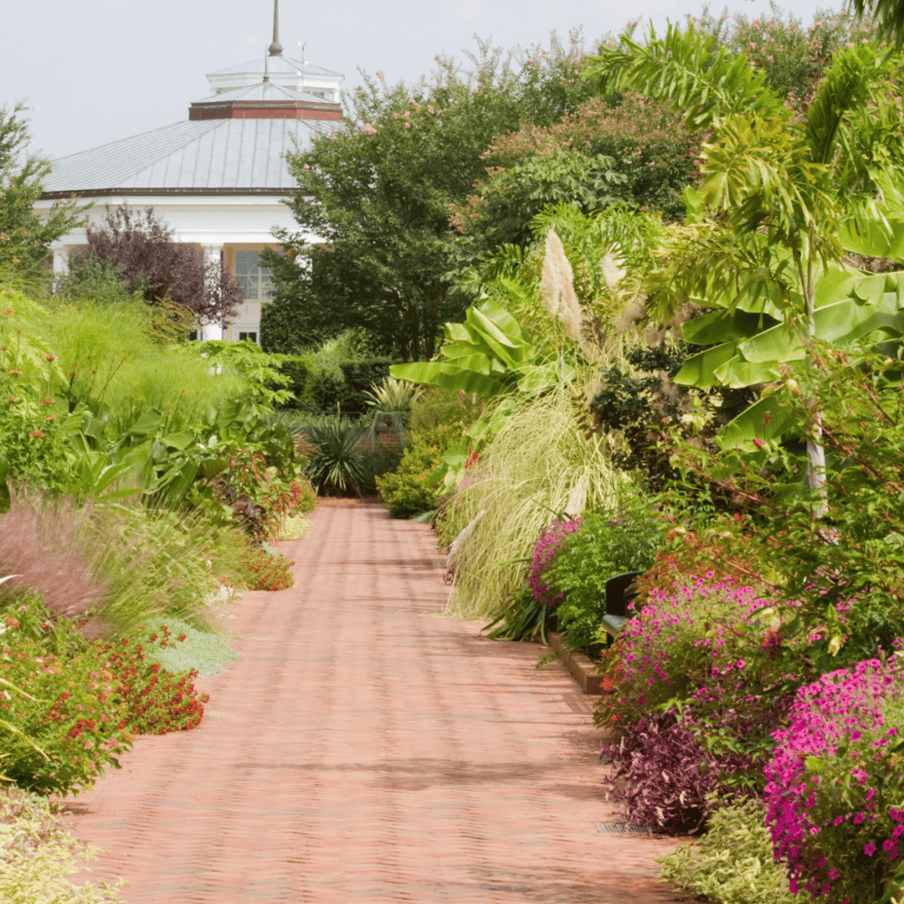 Wander the Daniel Stowe Botanical Garden