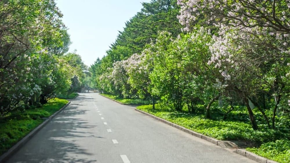 Wander through the RiversideAvondale Historic District