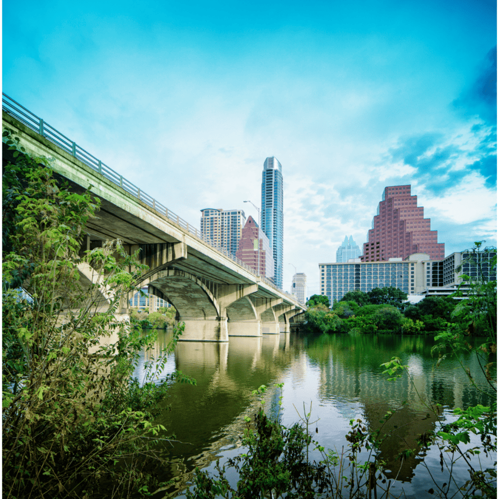 Witness the Congress Bridge Bats