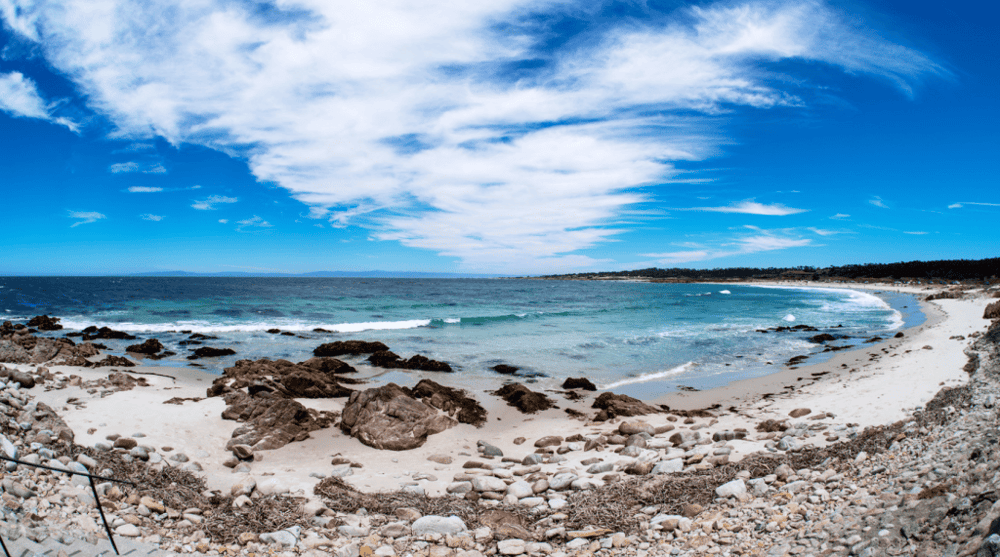 17-Mile Drive, Carmel & Monterey Day Trip from San Francisco