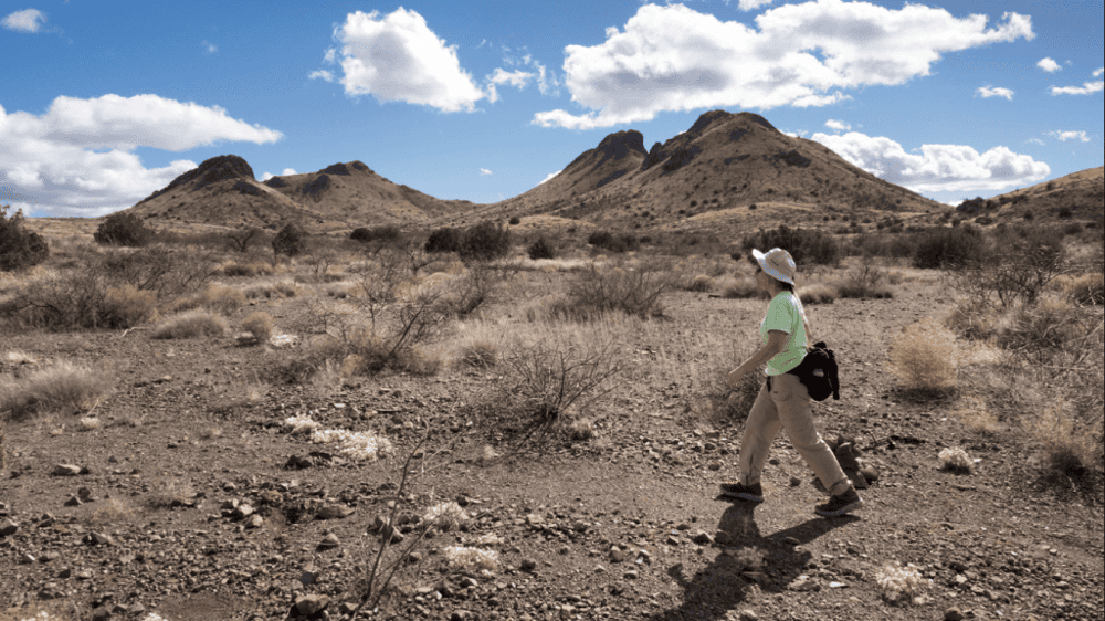 Amazing 2-Hour Guided Hiking Adventure in the Sonoran Desert