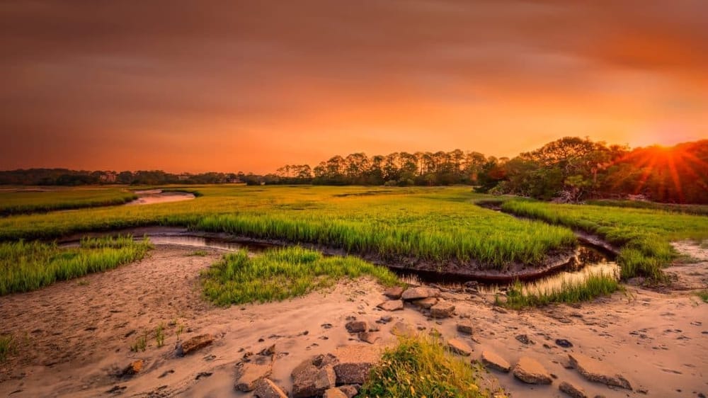 Big Talbot Island Self-Guided Tour with Smart Helmets