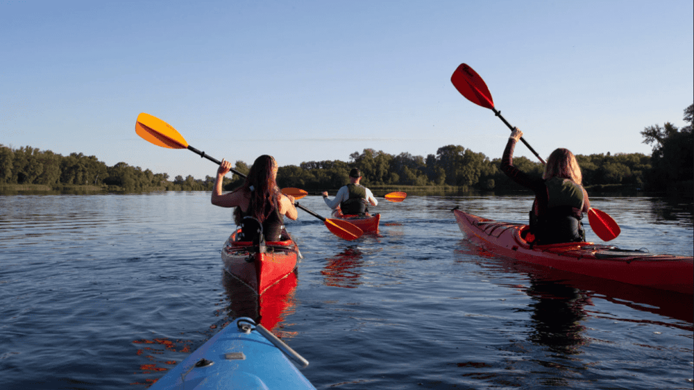 Canyon & Cliffside Kayaking on Saguaro Lake