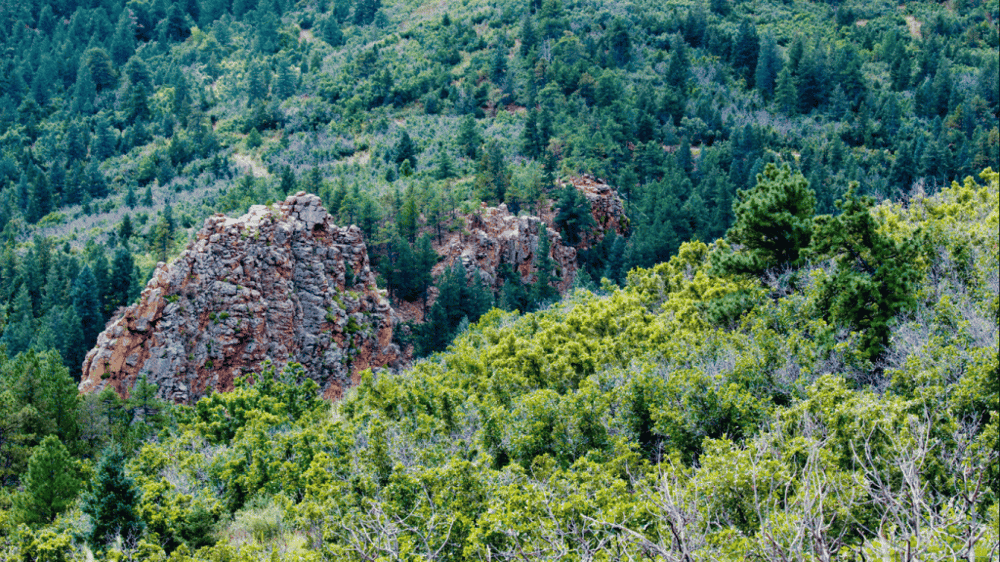 Cheyenne Cañon Segways