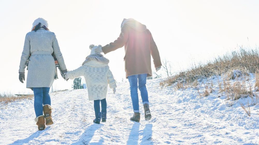 Free Winter Tours and Attractions