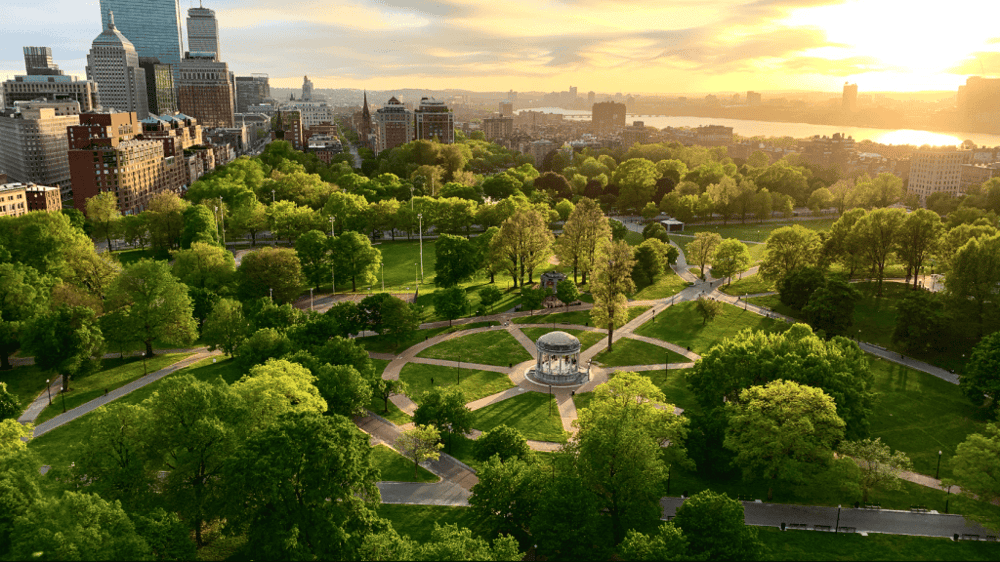 Freedom Trail Walking Tour