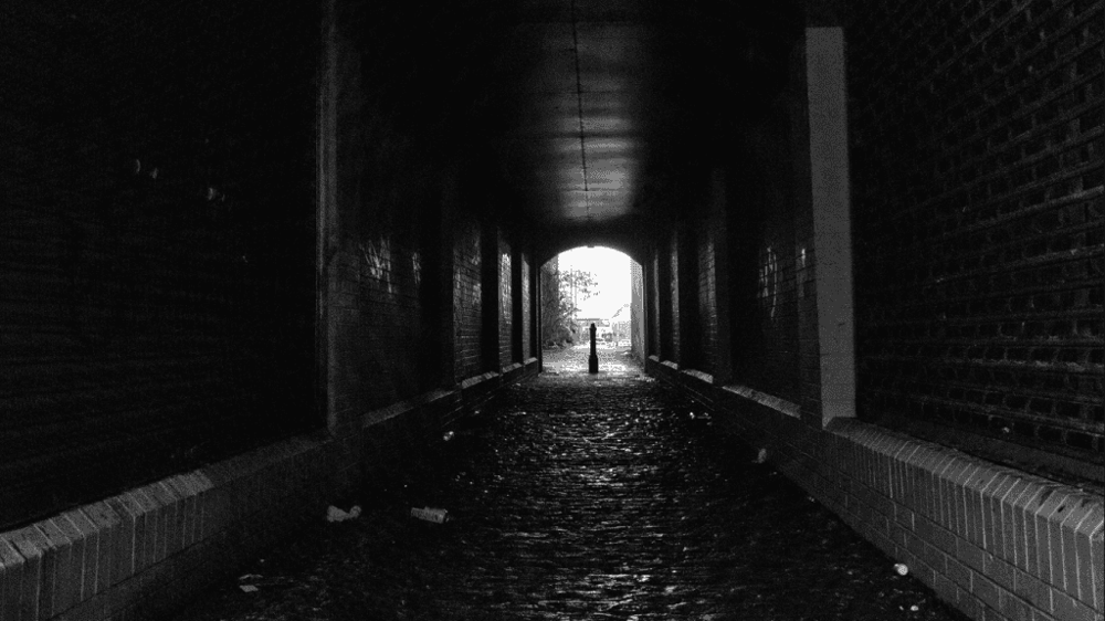 Gangsters and Ghosts Tour in Chicago