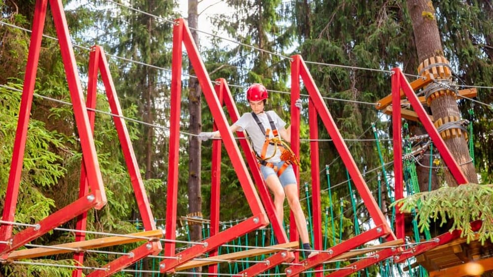 Go Ape Treetop Adventure