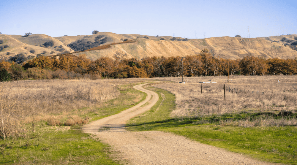 Livermore Valley All-Inclusive Wine Tour