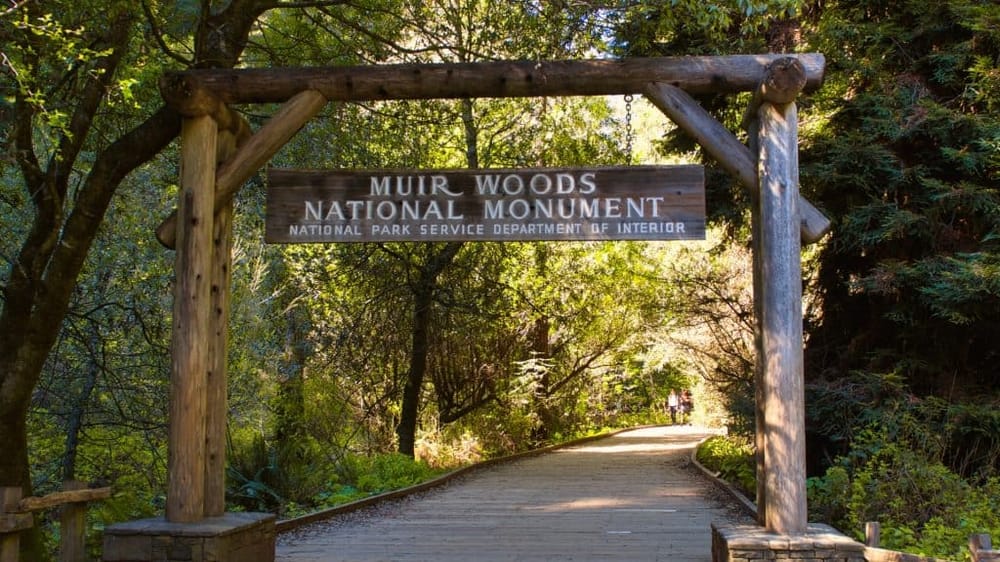 Muir Woods National Monument Guided Tour