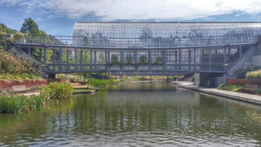 Myriad Botanical Gardens Guided Tour