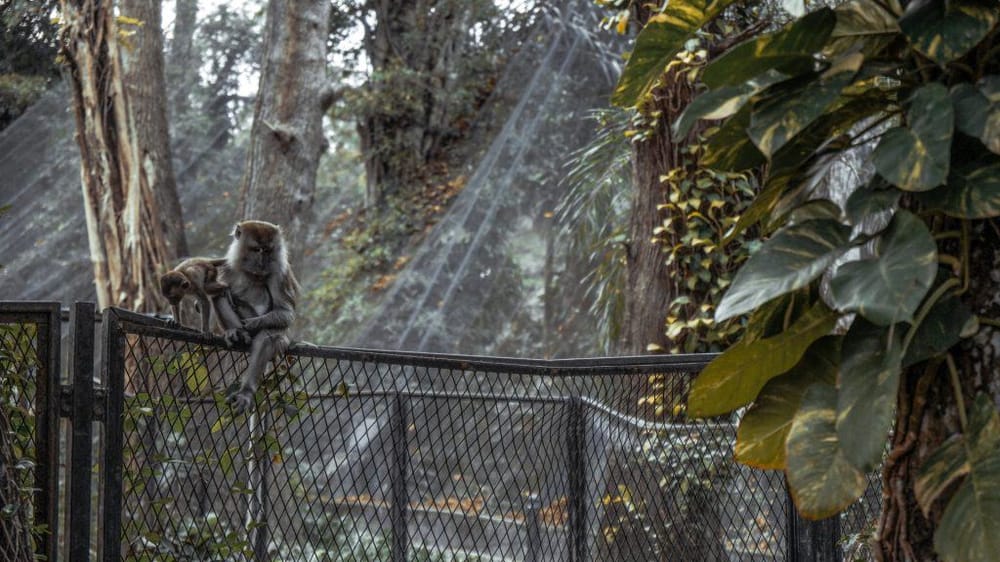 Oklahoma City Zoo Behind-the-Scenes Experience