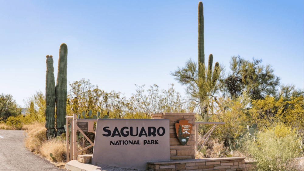 Saguaro National Park Self-Guided Driving Audio Tour