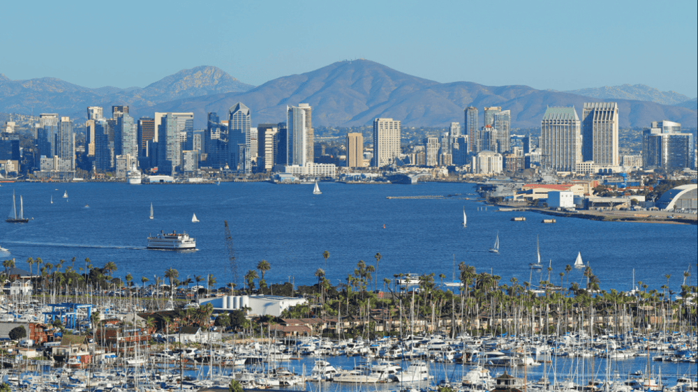 San Diego Seal City Tour