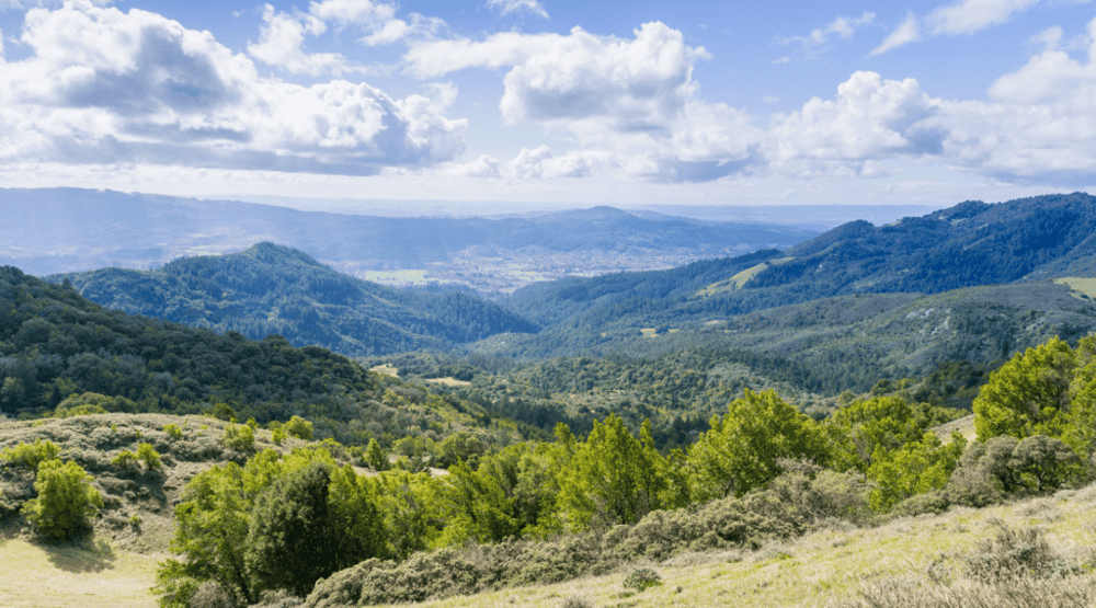 Sonoma Valley All-Inclusive Wine Tour