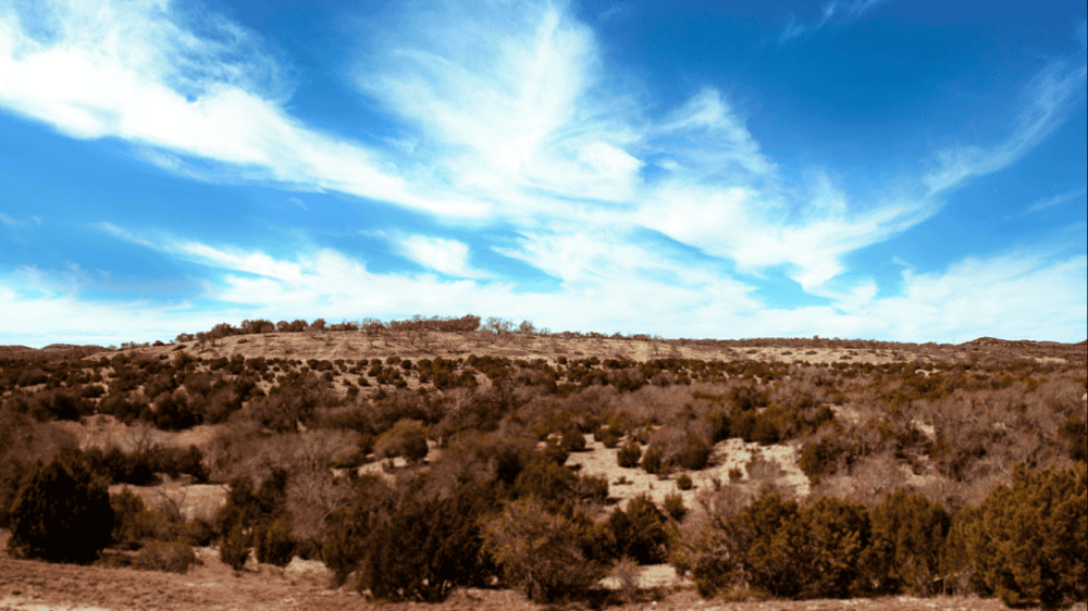 Texas Hill Country and LBJ Tour